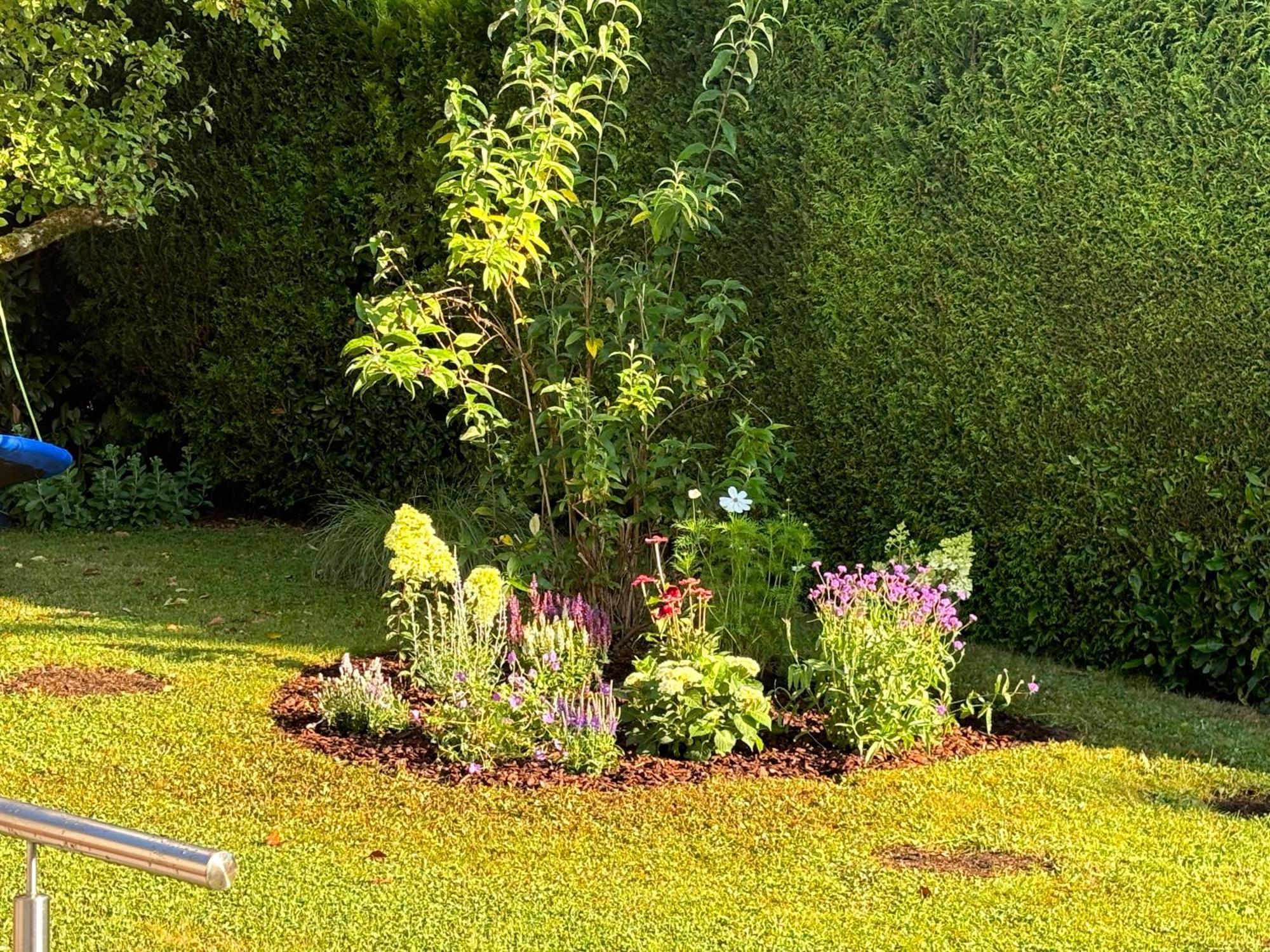 Ferienwohnung Bliestalglueck Oberthal Екстер'єр фото
